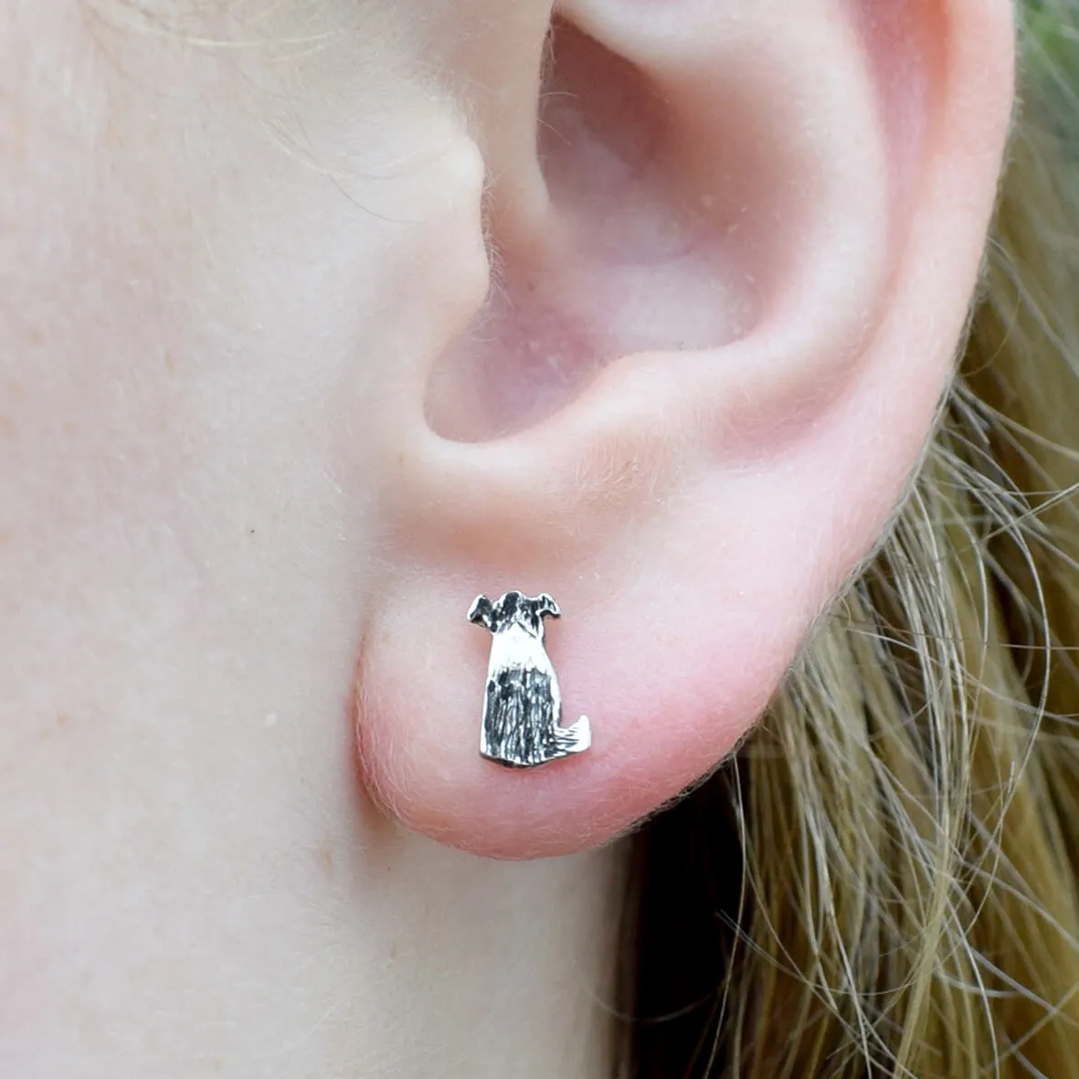 Border Collie Sheepdog Earrings