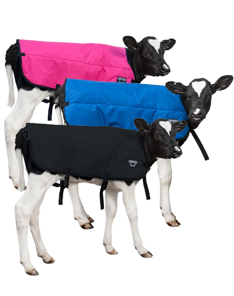 Calf Blanket - Calf Jacket