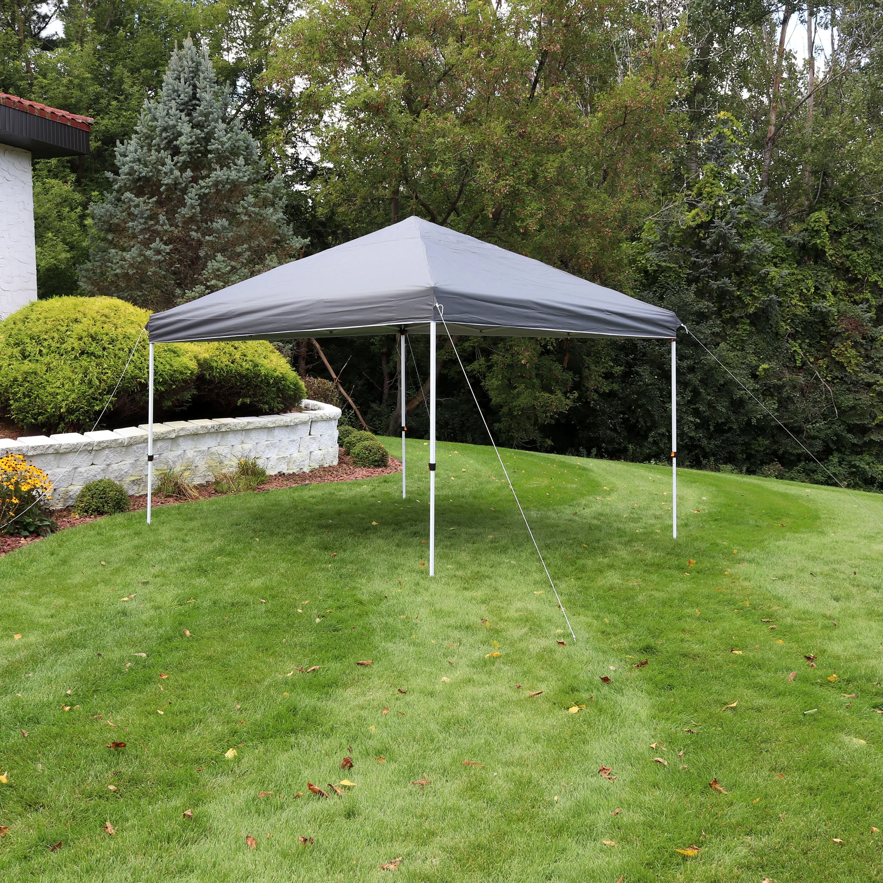 Sunnydaze Standard Pop-Up Canopy with Carry Bag