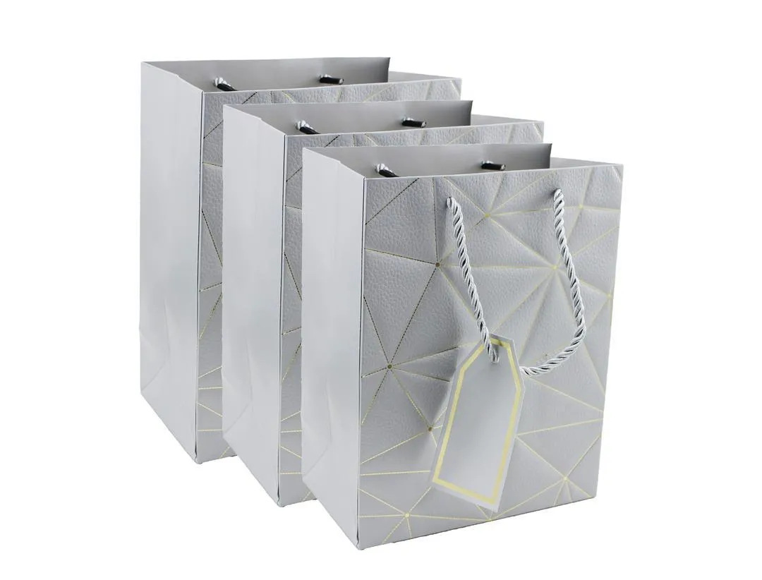 Twisted Handle Kraft Paper Bags For Hen Parties, Weddings, and Special Occasions - Silver