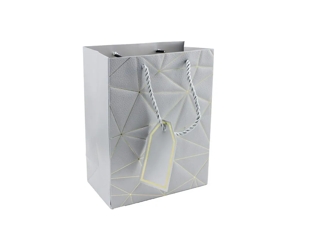 Twisted Handle Kraft Paper Bags For Hen Parties, Weddings, and Special Occasions - Silver